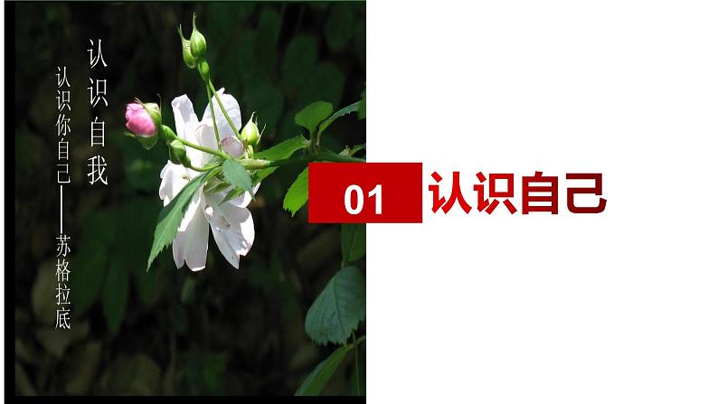 （人教版2024）七年级道德与法治上册同步第二课  正确认识自我（课件）第3页