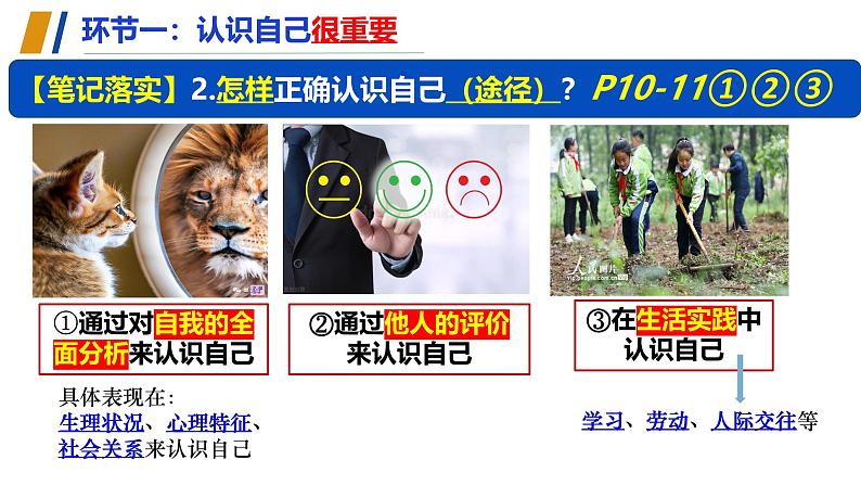 （人教版2024）七年级道德与法治上册同步第二课  正确认识自我（课件）第7页