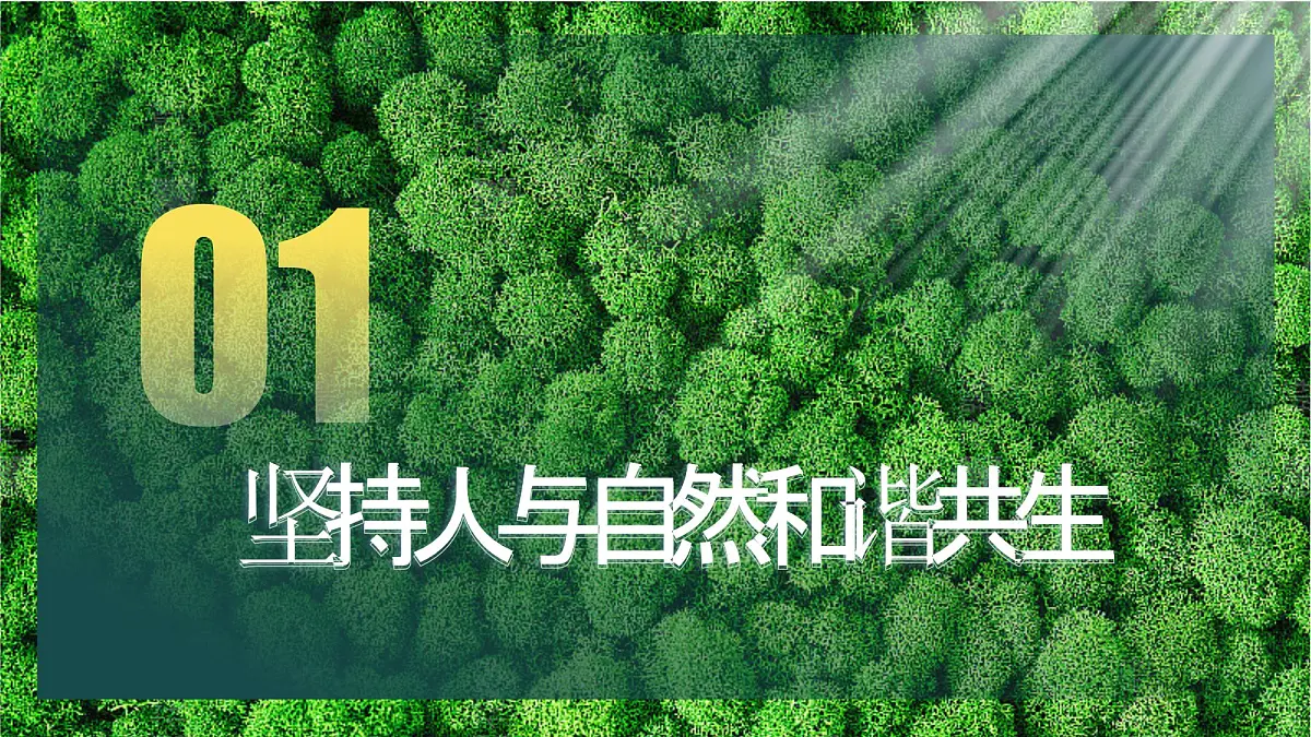 《共筑生命家园》（课件版权归属“一起课件”，只供个人使用，请勿私自传播，违者必究）第4页