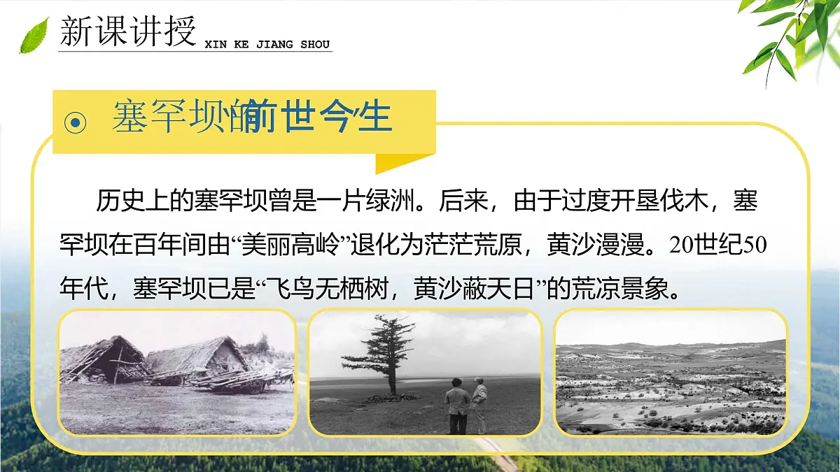 《共筑生命家园》（课件版权归属“一起课件”，只供个人使用，请勿私自传播，违者必究）第8页