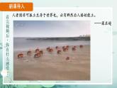 初中道德与法治人教版2024七年级上册 第二单元 成长的时空第七课  在集体中成长 集体生活成就我 课件