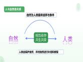 6.2共筑生命家园-课件  2024-2025学年统编版道德与法治九年级上册