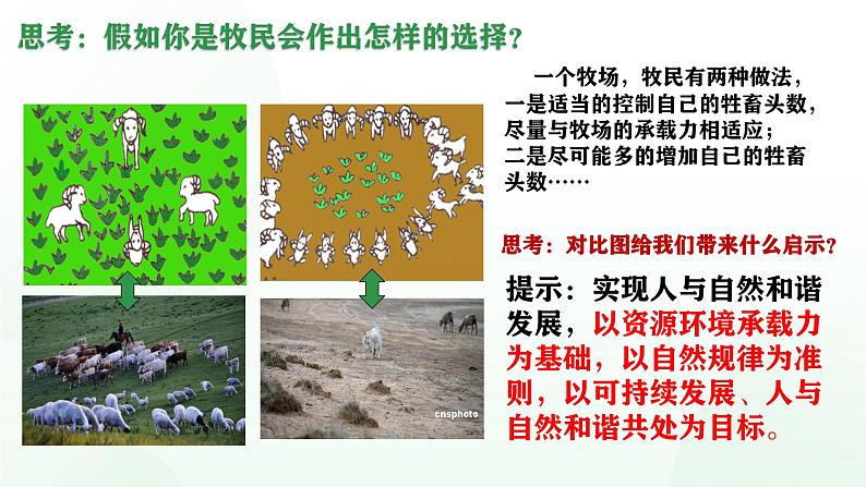 6.2共筑生命家园-课件  2024-2025学年统编版道德与法治九年级上册第5页