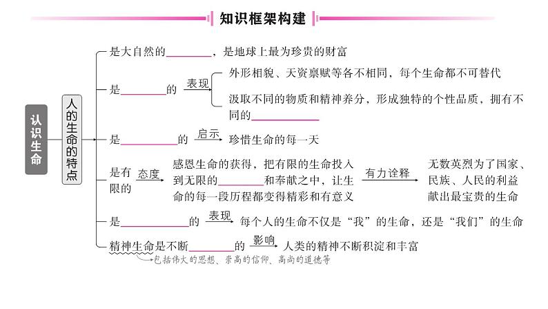 初中道德与法治新人教版七年级上册第三单元第八课《生命可贵》作业课件（共2课时）（2024秋）03