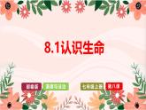 部编人教版初中道德与法治七年级上册8.1 认识生命（教学课件）