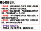 统编版道德与法治七年级上册 8.1《认识生命》课件