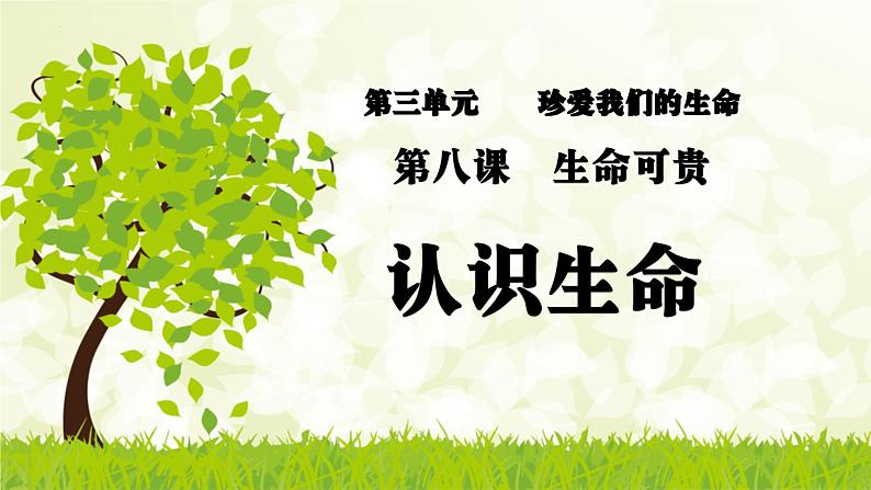 统编版道德与法治七年级上册8.1《认识生命》教学课件第2页