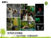 统编版道德与法治七年级上册8.1《认识生命》教学课件