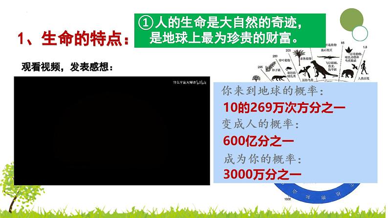 统编版道德与法治七年级上册8.1《认识生命》教学课件第5页