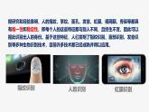 8.1 认识生命 课件-2024-2025学年统编版道德与法治七年级上册