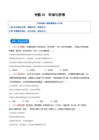 2025年中考道德与法治一轮复习考点通关练习专题20  和谐与梦想（解析版）