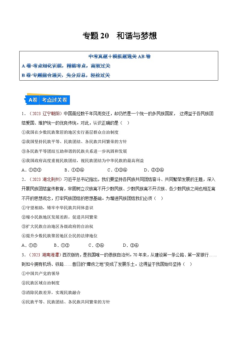 2025年中考道德与法治一轮复习考点通关练习专题20  和谐与梦想（原卷版）第1页