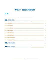 2025年中考道德与法治一轮复习考点练习专题05 我们共同的世界 （练习）（解析版）