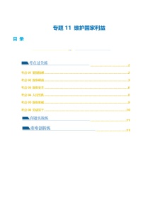 2025年中考道德与法治一轮复习考点练习专题11 维护国家利益 （练习）（解析版）