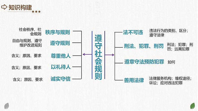 2025年中考道德与法治一轮复习考点讲练测课件专题09 遵守社会规则（含答案）05