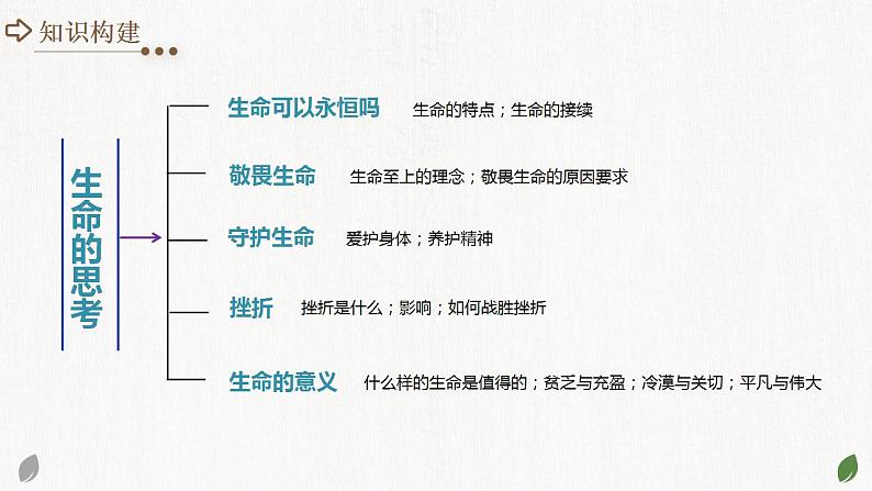 2025年中考道德与法治一轮复习考点讲练测课件专题19 生命的思考（含答案）第4页