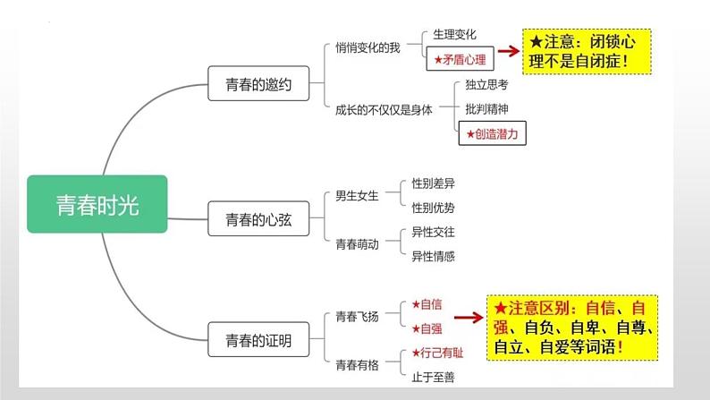 2025年中考道德与法治一轮复习考点精讲课件专题05 青春时光（含答案）05