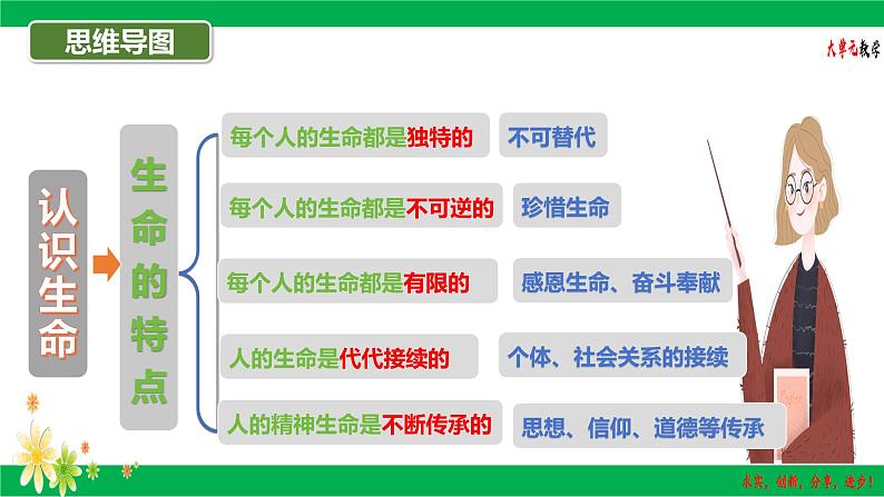 8.1 认识生命（课件）-2024-2025学年七年级道德与法治 （统编版2024）第5页