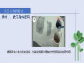 2024版道德与法治七年级上册第三单元珍爱我们的生命第八课生命可贵第1课时认识生命教学课件ppt