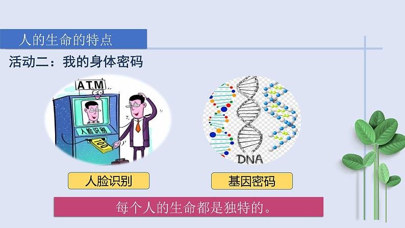 2024版道德与法治七年级上册第三单元珍爱我们的生命第八课生命可贵第1课时认识生命ppt第7页