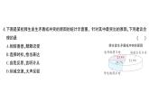 初中道德与法治新人教版七年级上册第二单元第五课第二课时 珍惜师生情谊作业课件2024秋