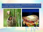2024版道德与法治七年级上册第四单元追求美好人生第十一课确立人生目标第1课时探问人生目标教学课件ppt