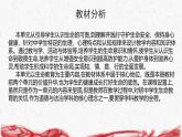 统编版（2024新版）七年级上册道德与法治第三单元 珍爱我们的生命 复习课件