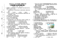 海南省定安县2024-2025学年八年级上学期期中考试道德与法治试题