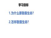 初中道德与法治人教版2024七年级上册 第三单元 珍爱我们的生命 第八课 生命可贵敬畏生命 课件