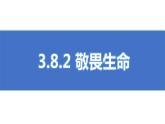 初中道德与法治人教版2024七年级上册 第三单元 珍爱我们的生命 第八课 生命可贵敬畏生命 课件