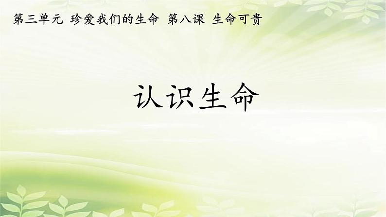 8.1 认识生命 课件-2024-2025学年统编版道德与法治七年级上册第1页