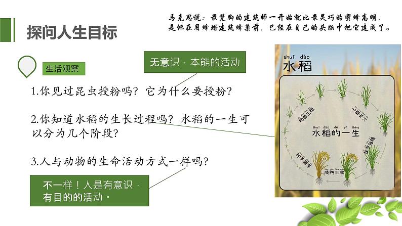 统编版七年级道德与法治上册第三单元第十课11.1探问人生目标 课件第3页