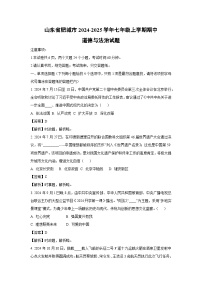 2024~2025学年山东省肥城市七年级(上)期中道德与法治道德与法治试卷(解析版)