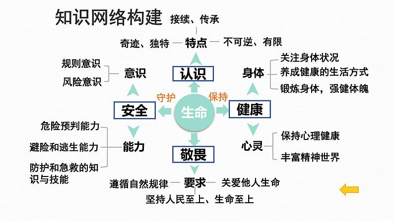 统编版（2024新版）七年级上册道德与法治第三单元《珍爱我们的生命》复习课件第4页