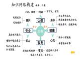 初中道德與法治新人教版七年級(jí)上冊(cè)第三單元 珍愛我們的生命復(fù)習(xí)課件2024秋