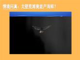 部編人教版初中道德與法治九年級上冊9.6.2共筑生命家園（課件）