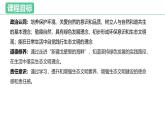 部編人教版初中道德與法治九年級上冊9.6.2共筑生命家園（課件）