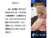 部编人教版初中道德与法治八年级上册8.5.1法不可违（课件）