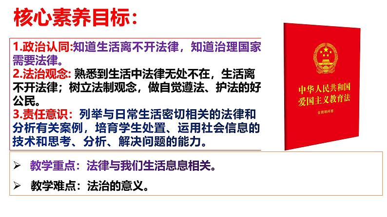 9.1生活需要法律课件-2023-2024学年统编版七年级道德与法治下册第4页