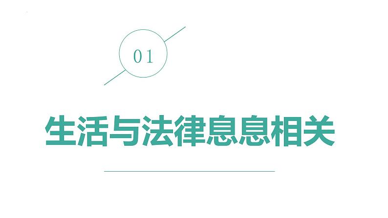 9.1生活需要法律课件-2023-2024学年统编版七年级道德与法治下册第6页