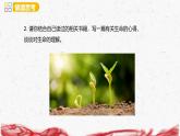 統(tǒng)編版（2024新版）七年級(jí)上冊(cè)道德與法治第三單元 珍愛我們的生命 單元思考與行動(dòng) 課件