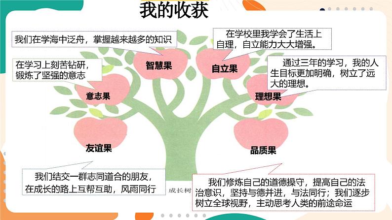 部编人教版初中道德与法治九年级下册 7.1回望成长 课件第5页