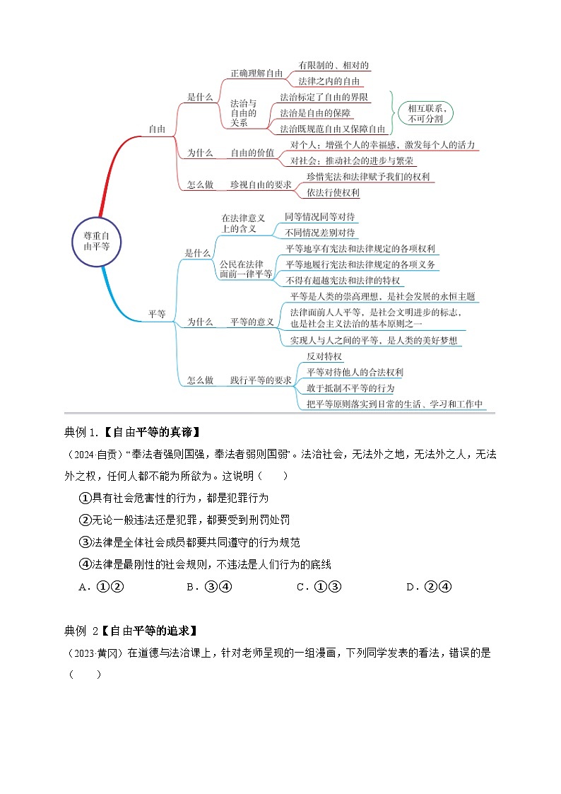 专题十六 崇尚法治精神-【新课标·新思维】2025年中考道德与法治一轮复习学案（含解析）（含解析）第2页