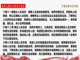 统编版（2024版）七年级上册道德与法治第四单元 追求美好人生 复习课件