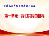 统编版九年级下册道德与法治第一单元 我们共同的世界 复习课件