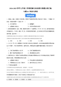 专题04 和谐与梦想-2024-2025学年九年级上学期道德与法治期末真题分类汇编（统编版 全国通用）