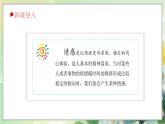 统编版道德与法治（2024）七年级下册--2.3 品味美好情感（课件）
