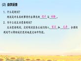 初中 政治 (道德與法治) 人教版（2024） 七年級上冊（2024）規(guī)劃初中生活 課件