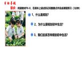 初中 政治 (道德與法治) 人教版（2024） 七年級上冊（2024）規(guī)劃初中生活 課件