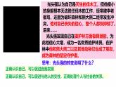 初中  政治 (道德與法治)  人教版（2024）  七年級(jí)上冊(cè)（2024） 認(rèn)識(shí)自己 課件